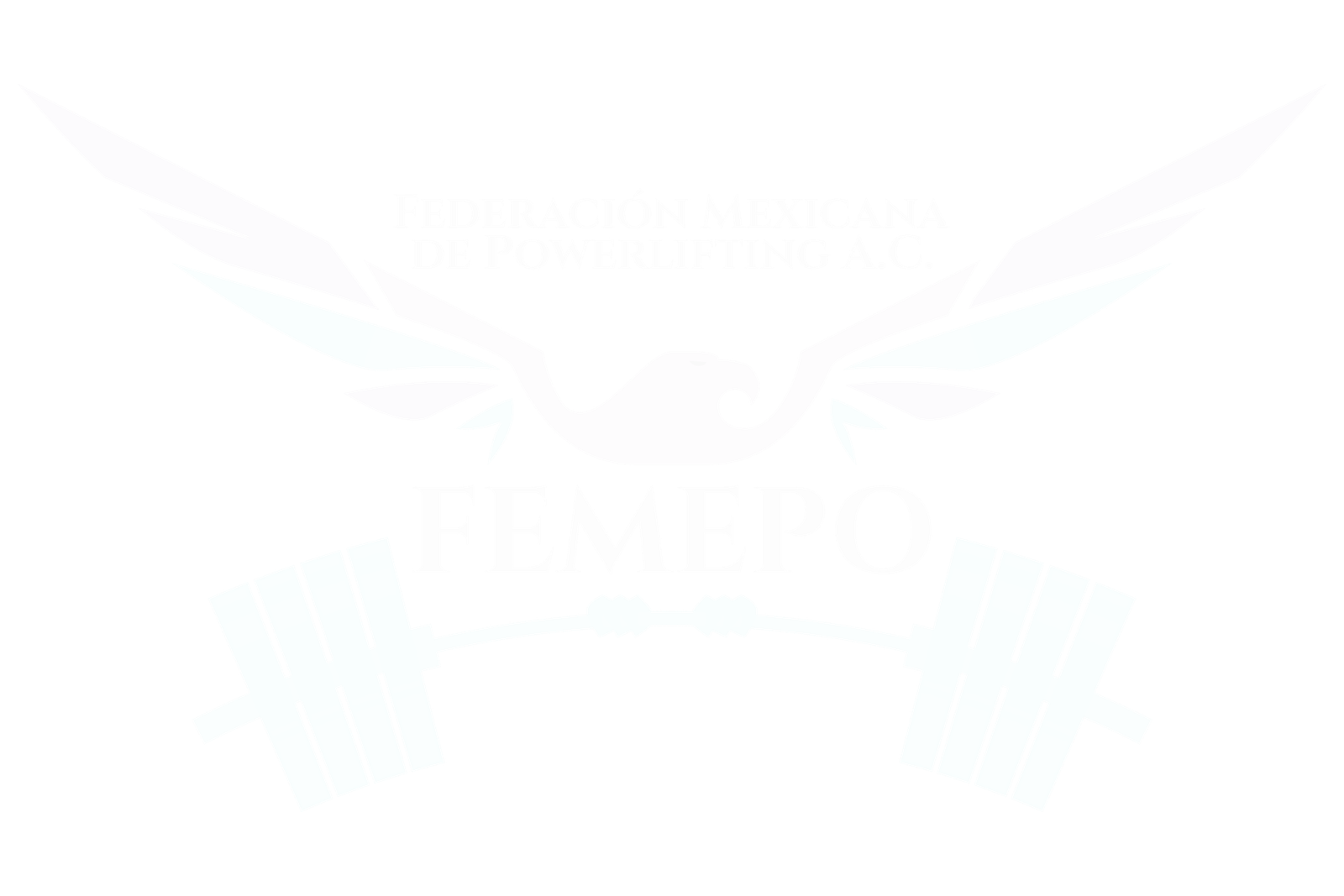Logo FEMEPO